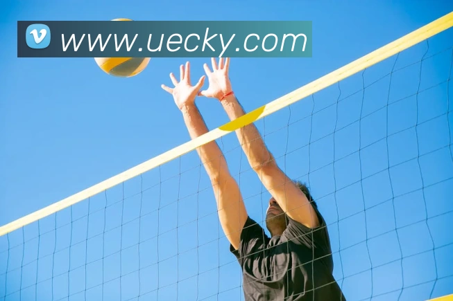 多媒体互动体验